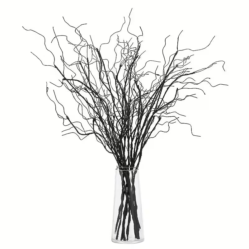 Ветки Salix